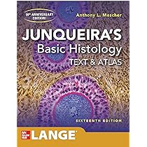Junqueira's Basic Histology Text & Atlas: Mescher Anthony